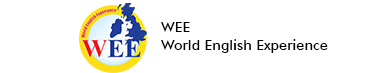 World English Experience
